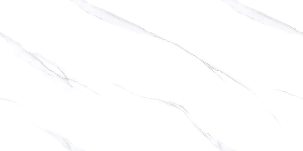 1-201026142026206.jpg